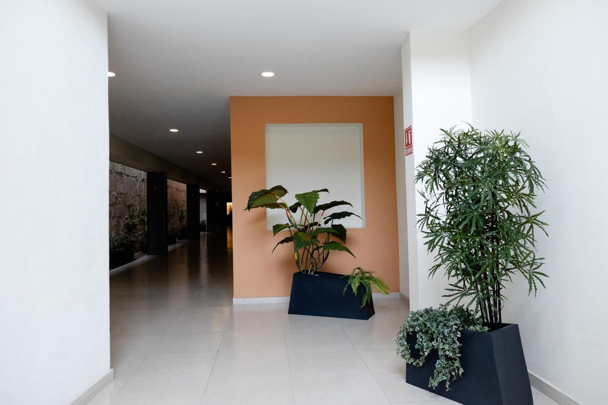 סן חואן דה לוס לאגוס Hotel Refugio מראה חיצוני תמונה